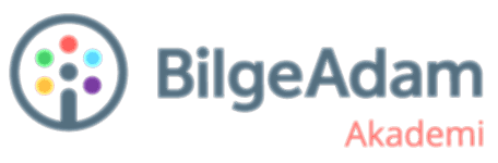 Bilge Adam Akademi